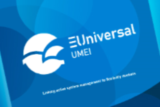 The UMEI API Video