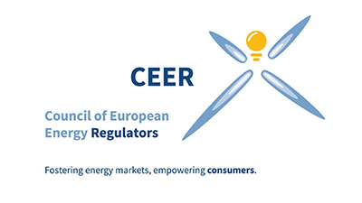 CEER strengthens the DSO role in the energy transition