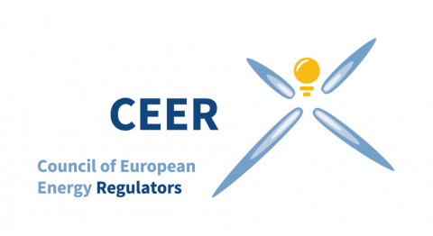 CEER Paper on Alternative Connection Agreements
